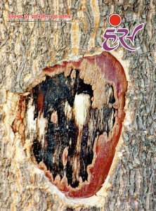 'हंंस' मई 2015 अंक